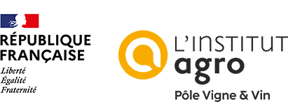 logo du Pôle Vigne & Vin de l'Institut Agro