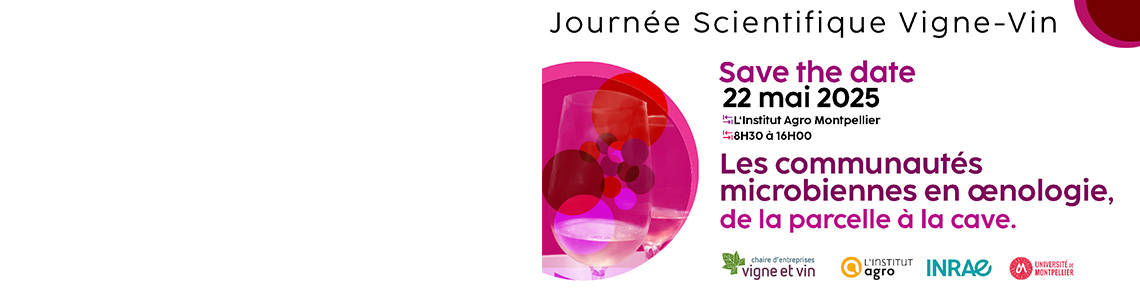 JSVV - Save the date 