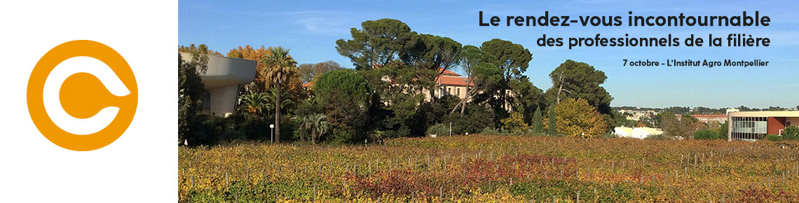 Vignoble "Pierre galet "