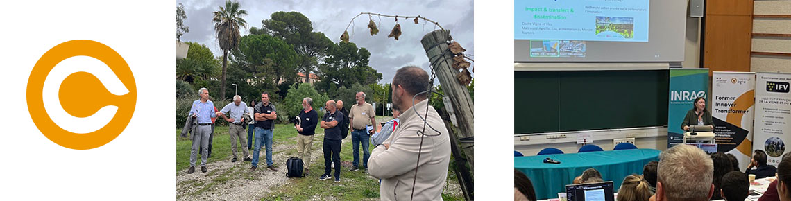 Journée Vassal Montpellier - Vignoble Pierre Galet 
