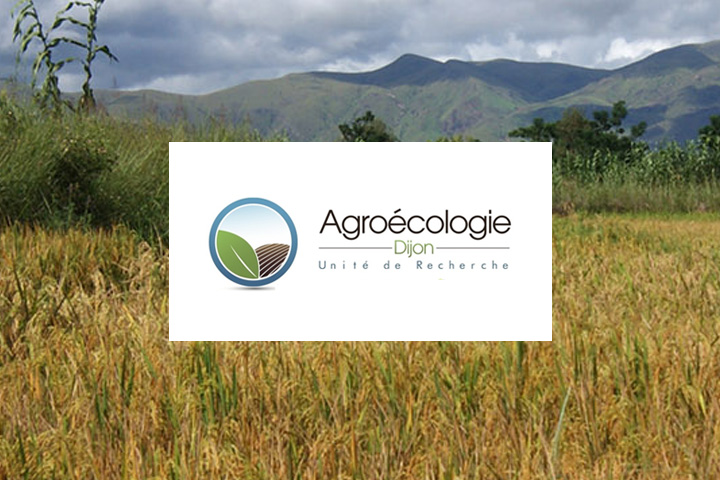 Logo de l'UMR Agroécologie