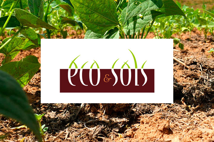 logo de l'UMR Eco&Sols 
