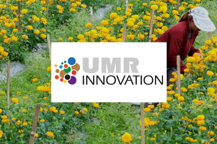 Logo de l'UMR Innovation