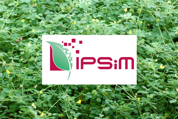 Logo de l'UMR IPSiM